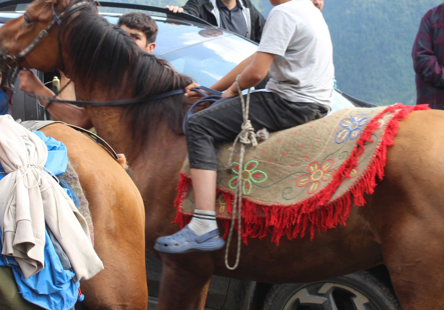 Chestnut horse carrying a felt Shabrak with red fringe and flower embroidery