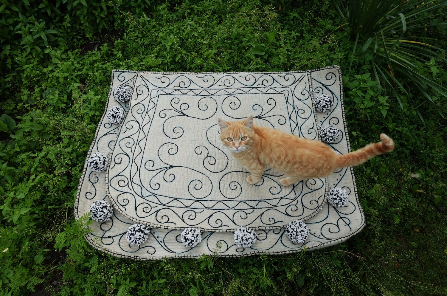 White felt Shabrak with blue scrollwork embroidery and pompoms, with a ginger cat standing on it